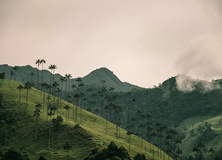 Eje Cafetero - EM Hotels