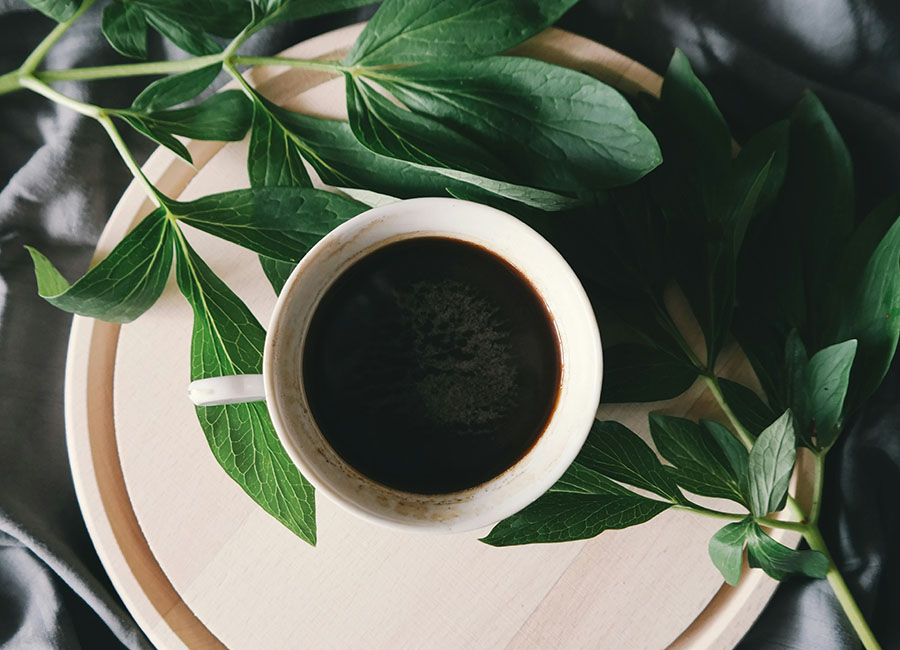 Hotel Campestre Las Camelias - EM Hotels