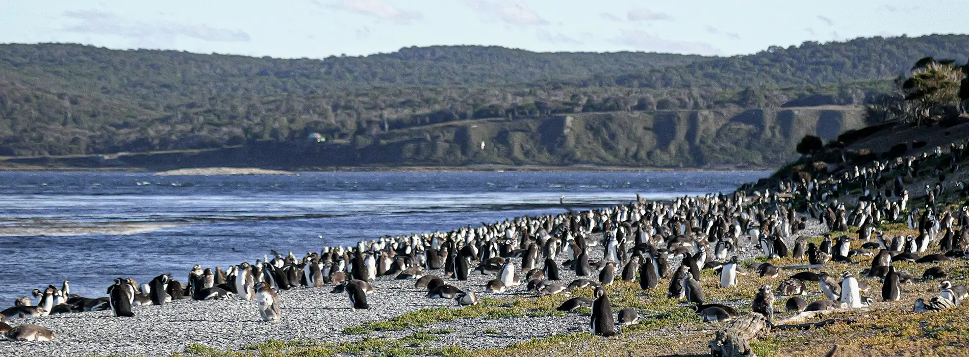 Lennox Ushuaia - EM Hotels