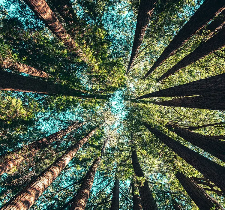 Sobre nosotros - EM Hotels