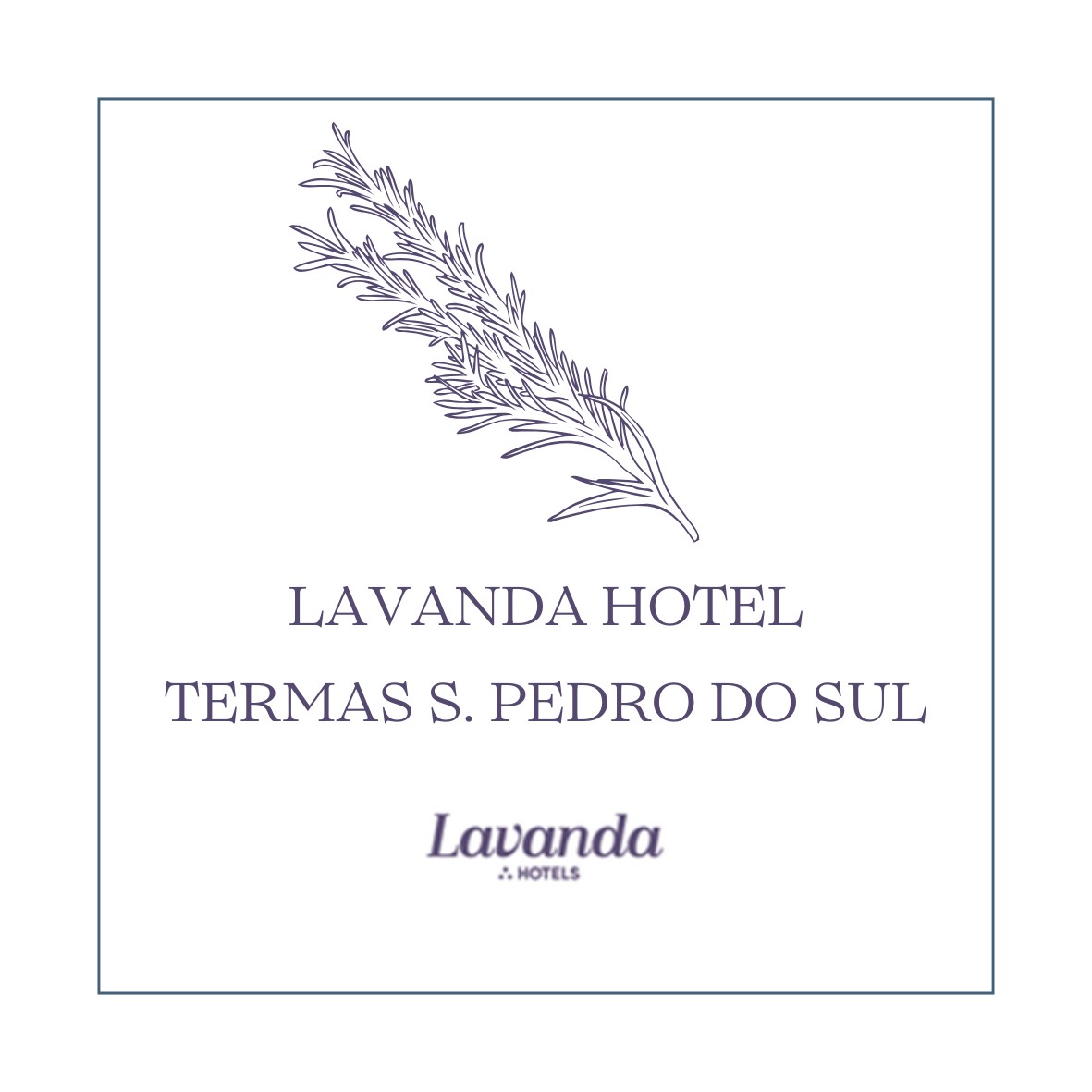 Hotel Termas S&atilde;o Pedro do Sul - Lavanda Hotels