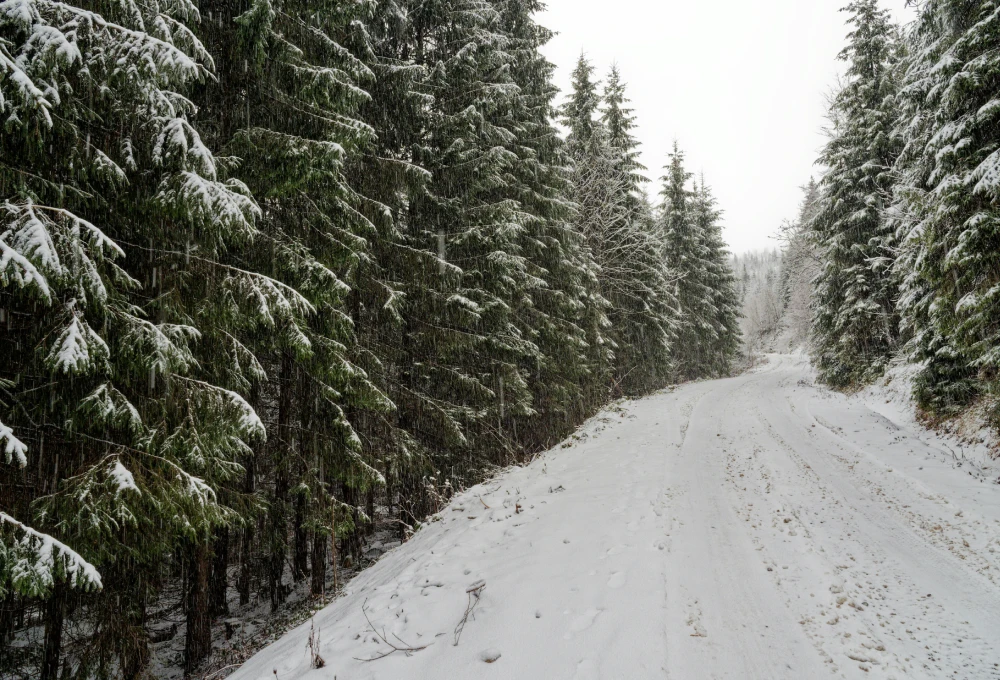 Planazo Invernal - Hotel HITA &ndash; Hotel HITA Navacerrada Madrid