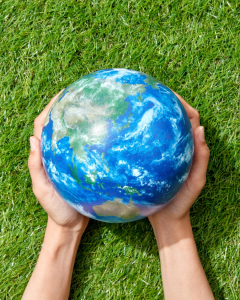 D&iacute;a Mundial de la Educaci&oacute;n Ambiental: el compromiso del Hotel B&eacute;cquer con un turismo m&aacute;s sostenible - Hotel B&eacute;cquer