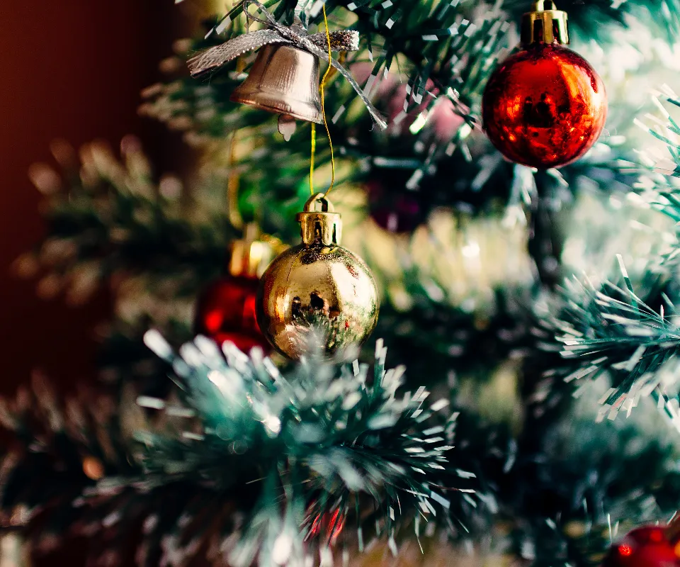 christmas-tree-1149619