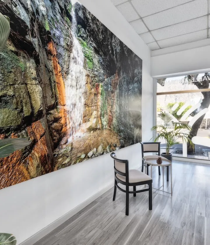 Sala con gran cuadro de cascada, dos sillas, mesa pequeña y plantas cerca de una ventana.