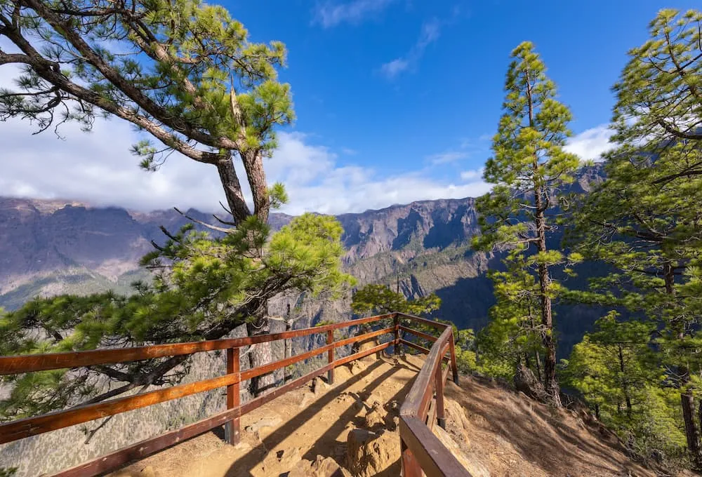 Mirador con barandilla de madera en un paisaje montañoso y árboles verdes, bajo un cielo azul.