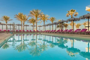 Poolside view with palm trees and lined pink loungers under a clear blue sky.