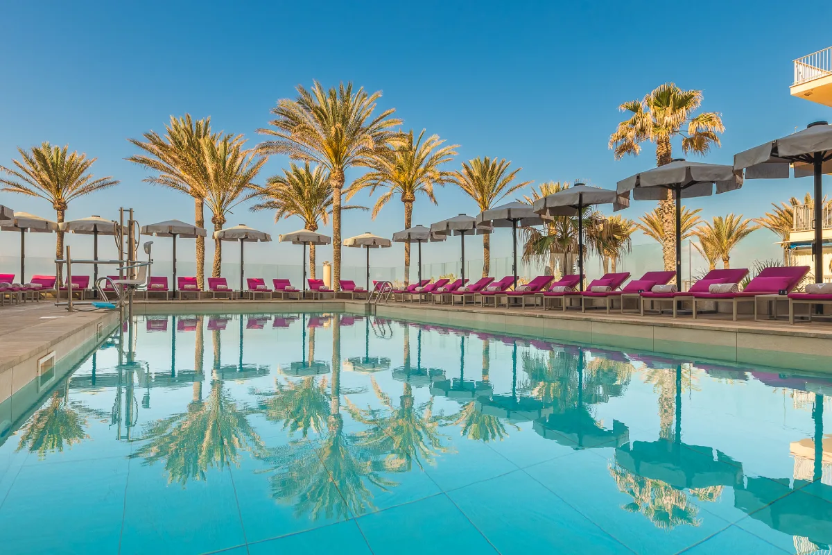 Poolside view with palm trees and lined pink loungers under a clear blue sky.