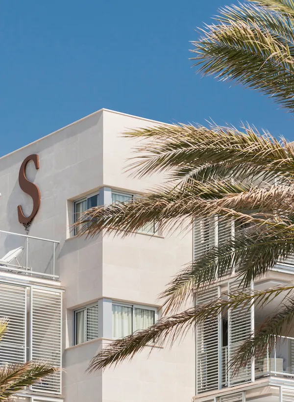 Modern building with large "S" on exterior, palm trees in foreground, clear blue sky.