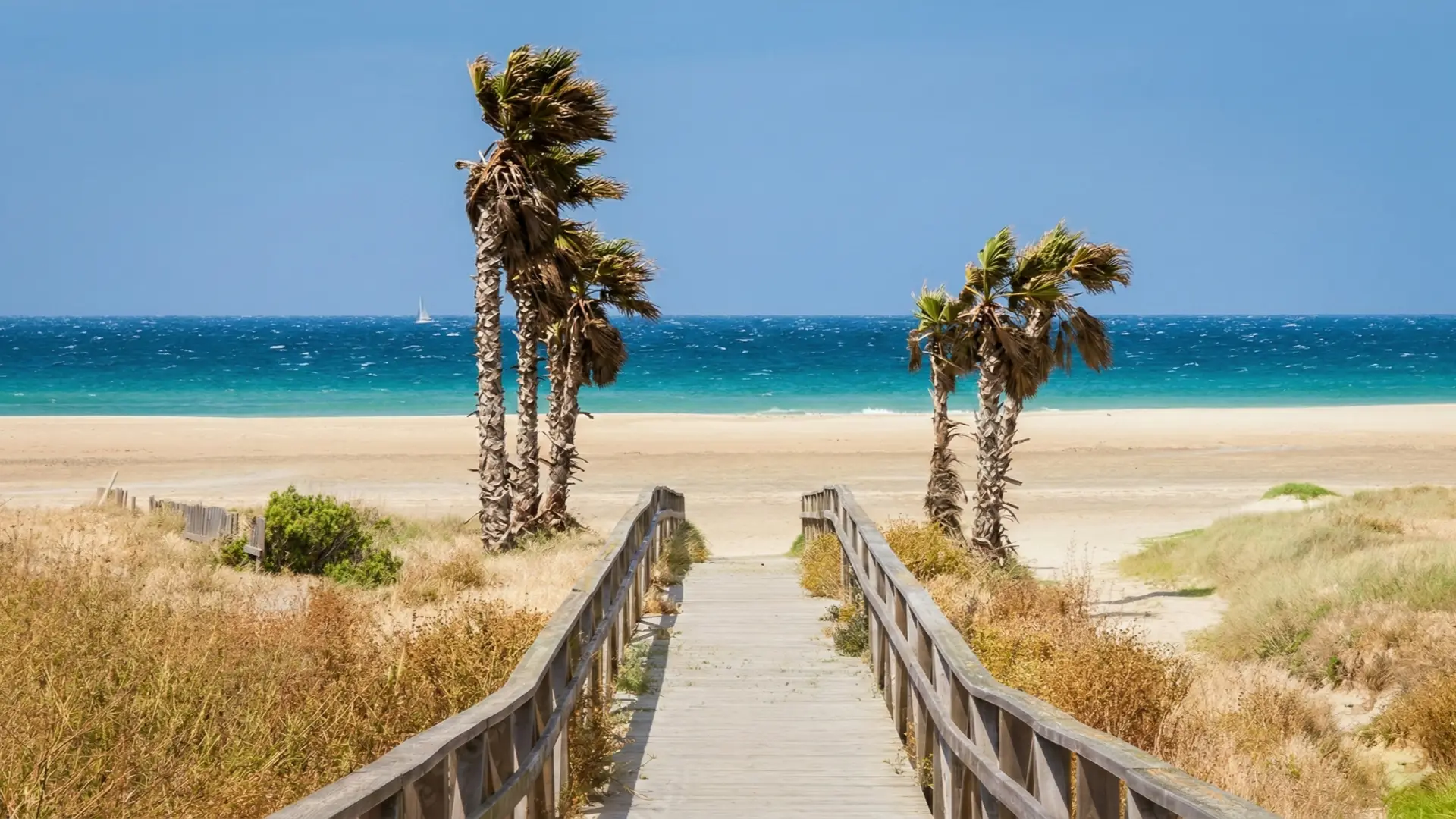 Home - Del Mar Hotel &amp; Spa