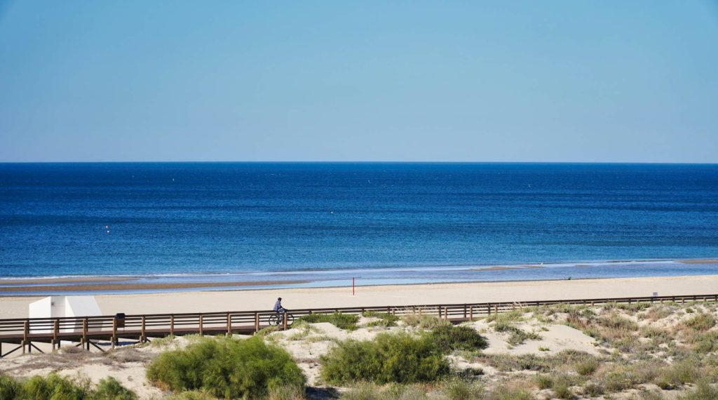 A person biking on a wooden path beside a sandy beach and blue ocean under a clear sky.