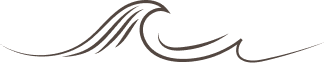 Stylized brown wave-like line art on a transparent background.