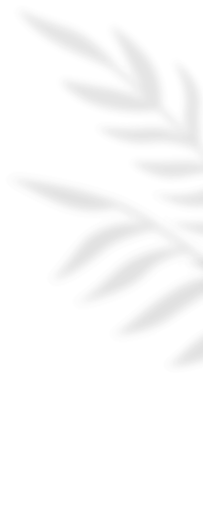 A close-up of a white, stylized leaf design on a black background.