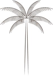 Silhouette of a palm tree with thin trunk and spreading fronds, resembling a simple line drawing.