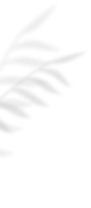 White palm leaf silhouette on a black background, positioned diagonally from the top-left corner.