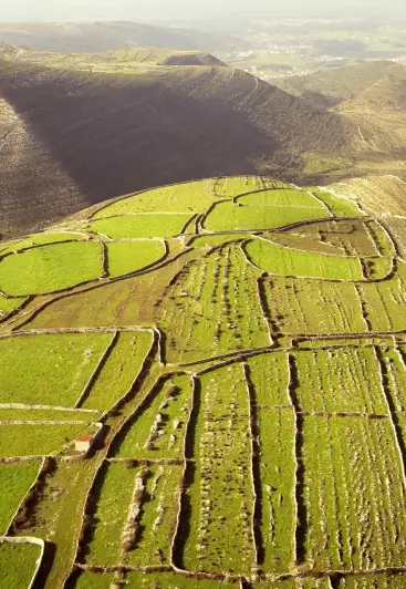 Paisagem aérea de montanhas com campos agrícolas verdes divididos por cercas, sob luz do sol.