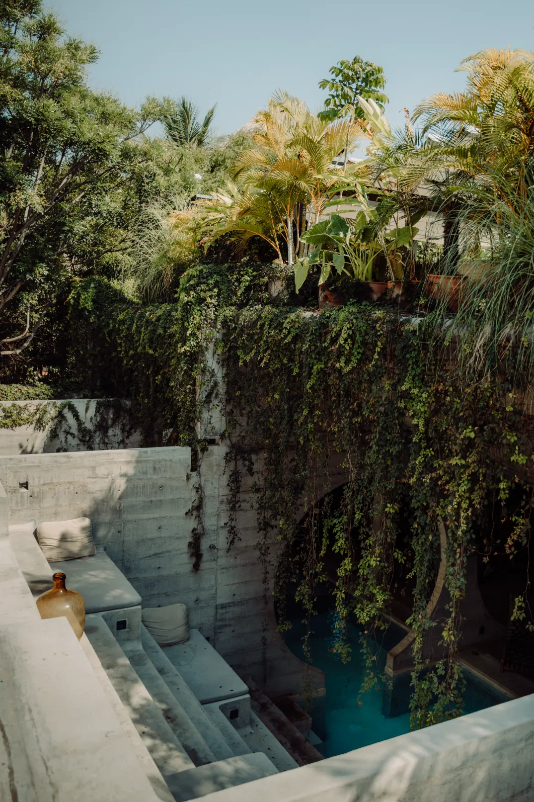 Outdoor pool with lounge seating, surrounded by lush tropical greenery and trees