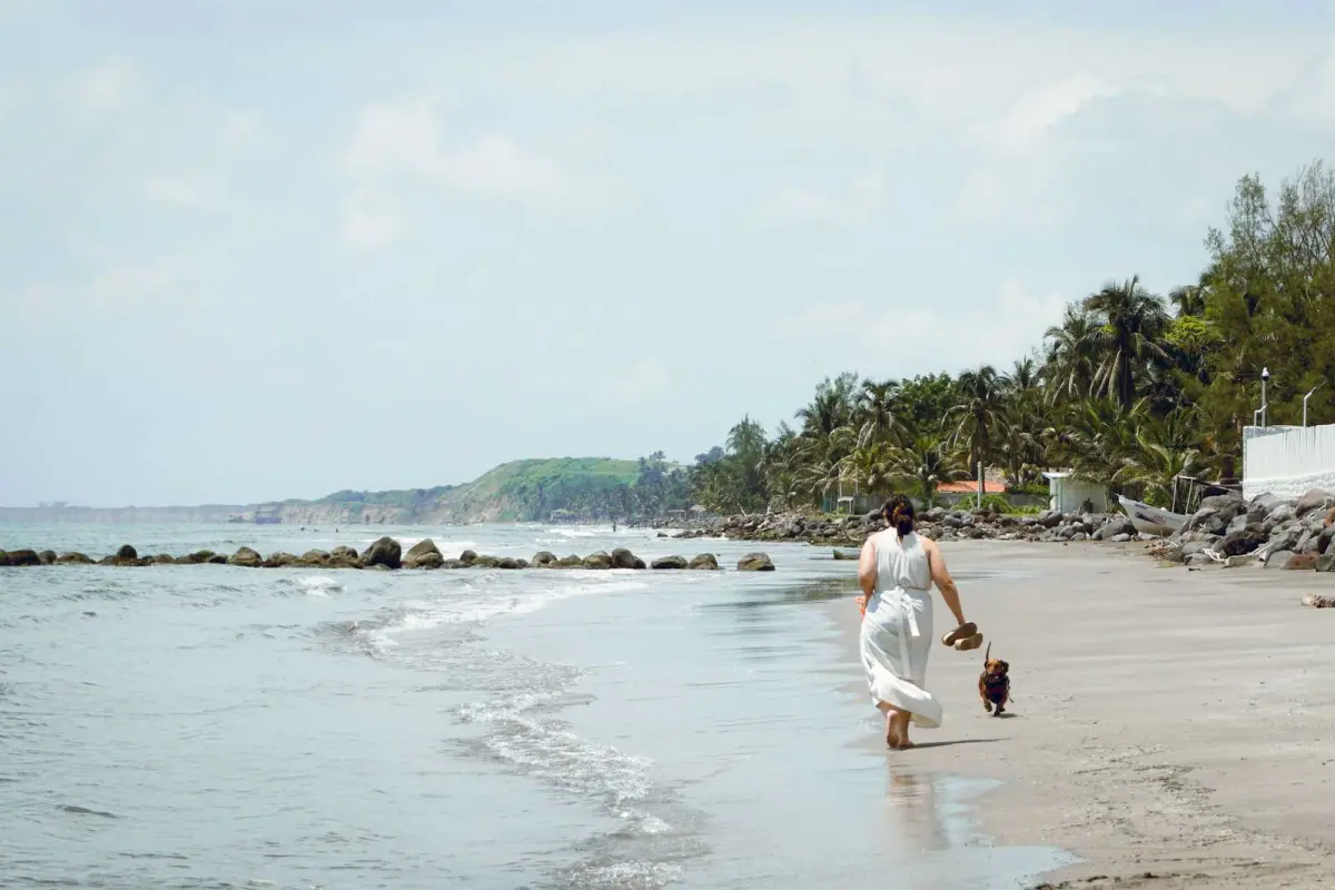 Woman walking barefoot on a tropical beach with a small dog near the shoreline
