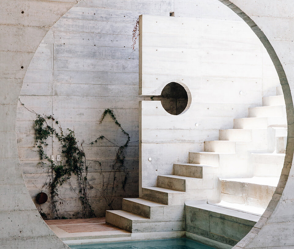 Fuente circular con escalones y pared de concreto, con plantas trepadoras.