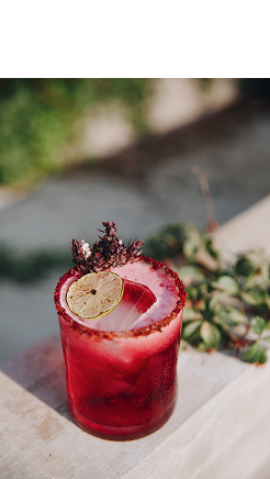 Cóctel rojo con hielo, rodaja de limón y decoración sobre mesa al aire libre