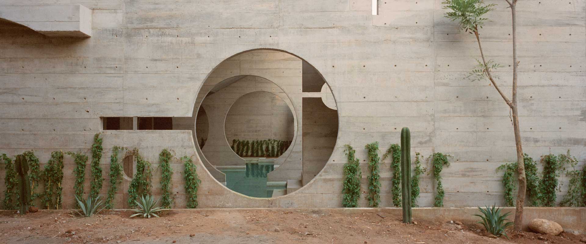 Modern concrete courtyard with circular arch, green plants, and cactus