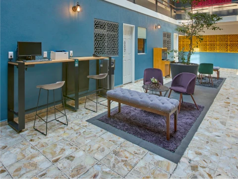 Espacio de descanso moderno con sillas y mesas, paredes azules y decoraci&oacute;n vegetal.