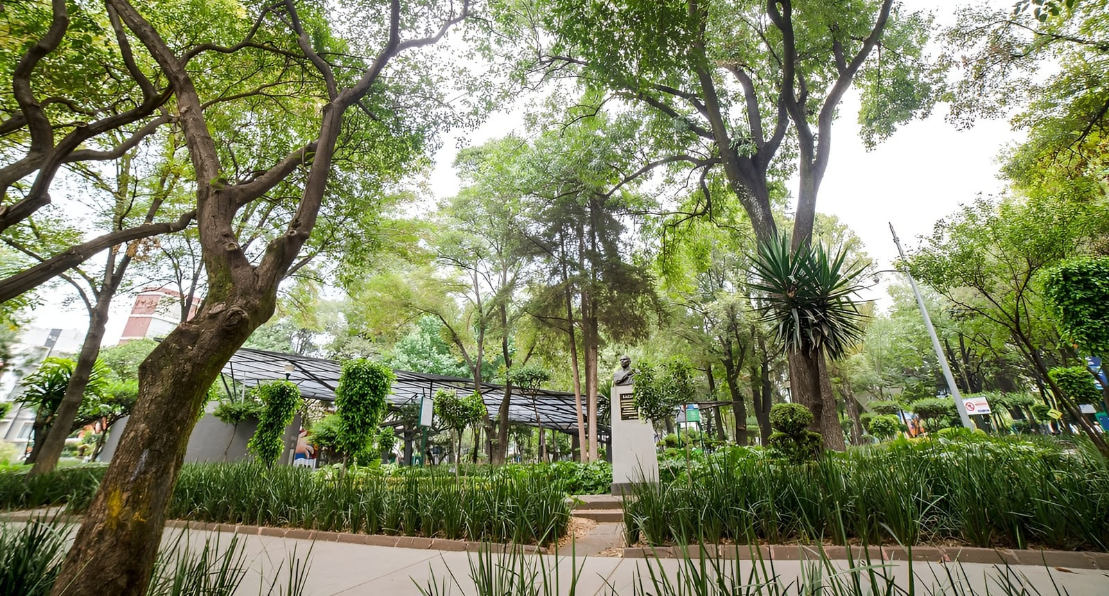 Parque urbano con &aacute;rboles altos, plantas y una estatua en el centro.