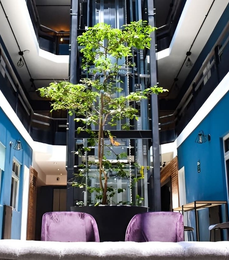 Vest&iacute;bulo moderno con sillas p&uacute;rpura y planta alta frente a un ascensor y paredes azules.