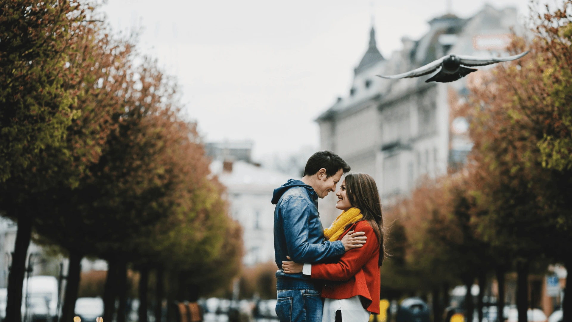 brussels romantic places Grand-Place winter night guild houses couples evening light