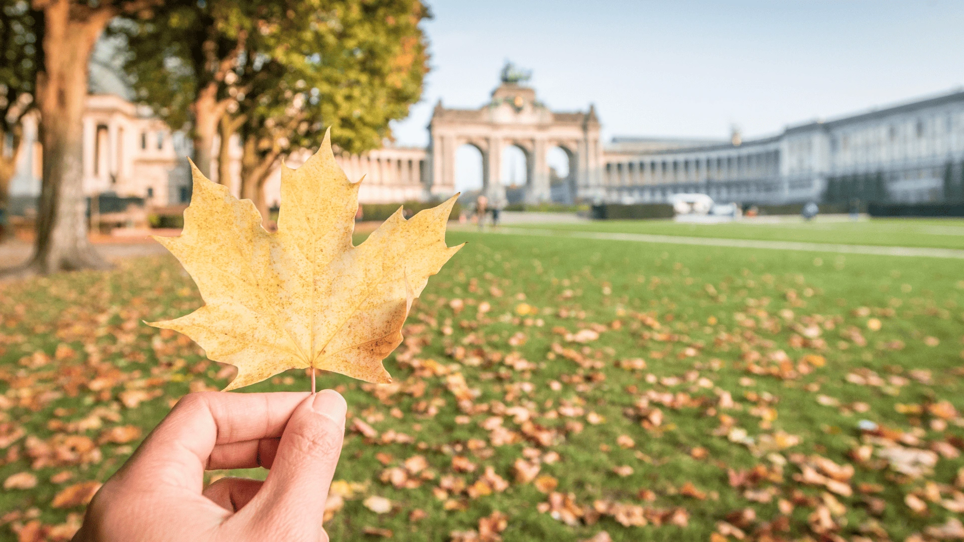 Brussels in Autumn
