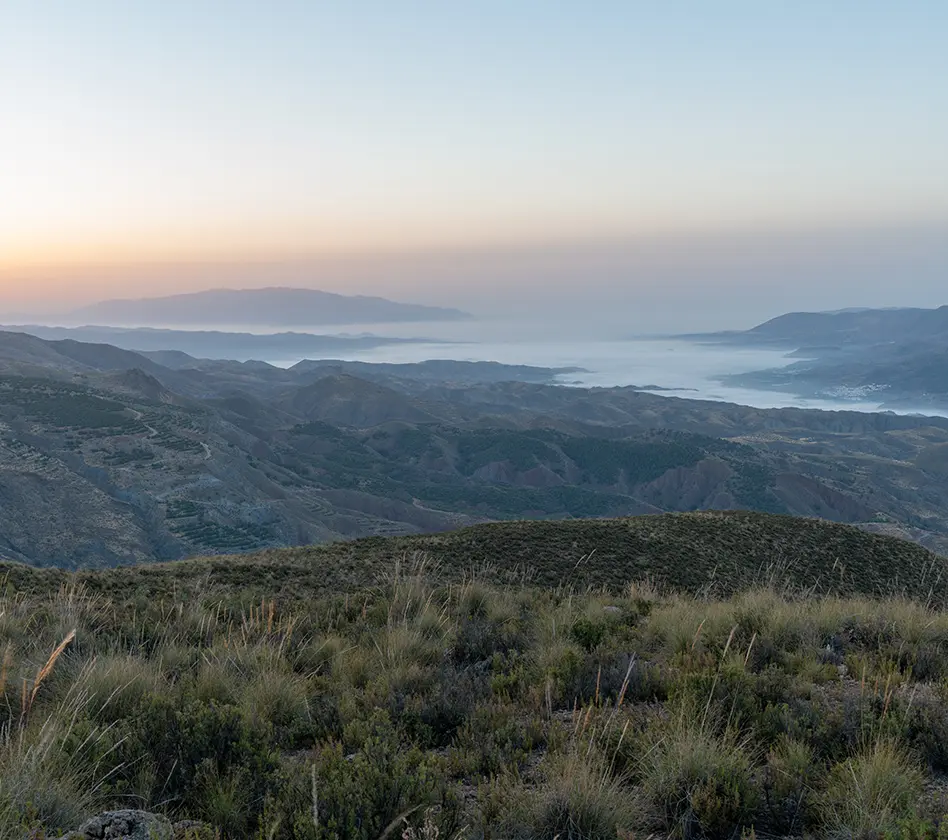 Fog in the valley of Bajo Andarax in Almería