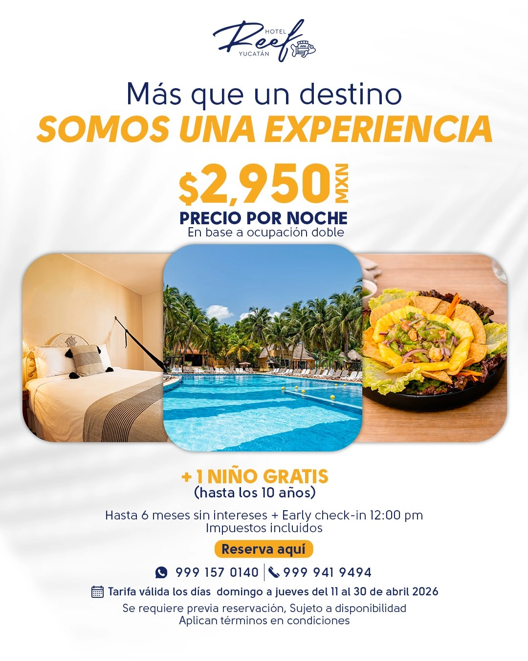 Home - Hotel Reef Yucat&aacute;n