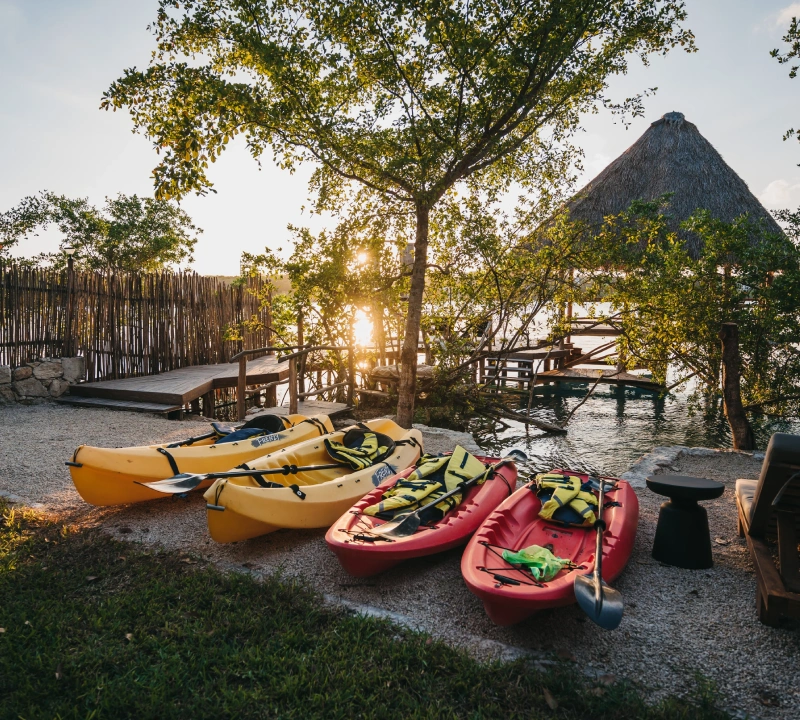 Outdoor experiences - Kokoro Mio 
