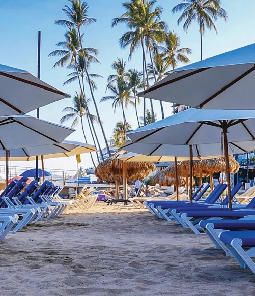 Groups - Delfin Puerto Vallarta Beach Resort