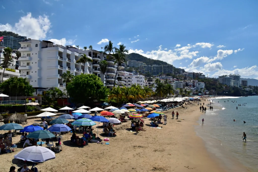 Puerto Vallarta in Summer: Lush Nature, Warm Seas, and Tropical Magic - Delfin Puerto Vallarta Beach Resort