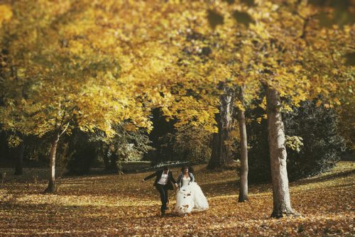 Novios caminando en un bosque con hojas amarillas de otoño, rodeados de árboles altos y luz suave.