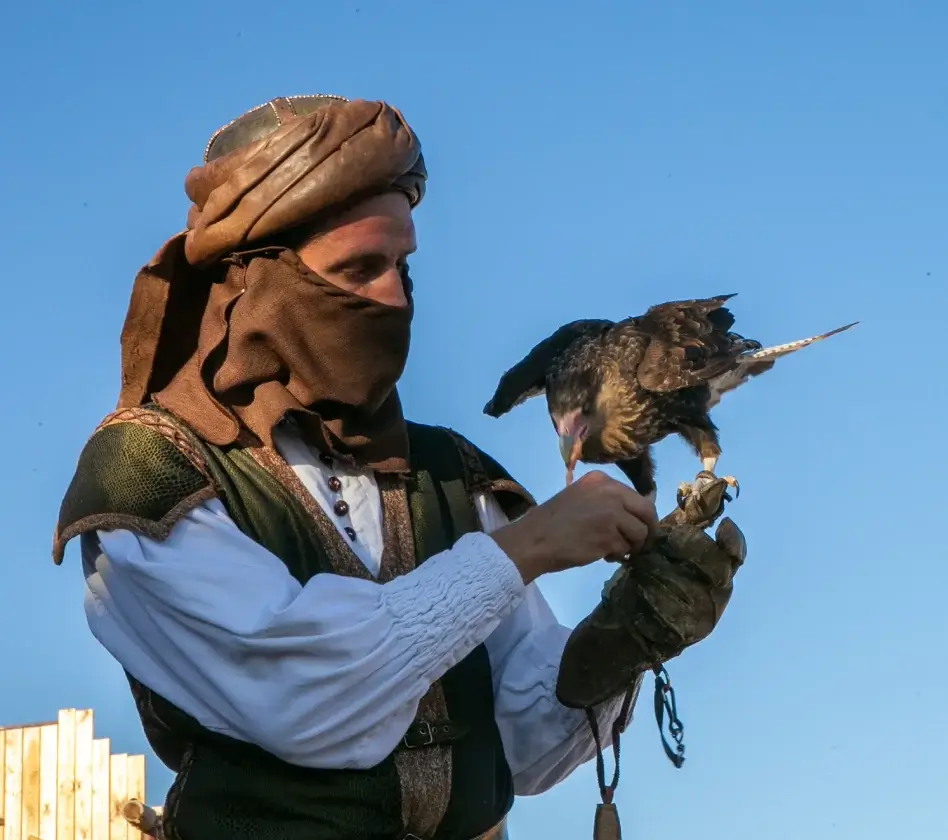 Un hombre con vestimenta medieval sostiene un ave en su mano enguantada, sobre un fondo de cielo despejado.