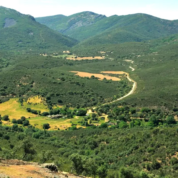 Vista panorámica de un paisaje montañoso con un camino sinuoso y áreas verdes y campos en el valle.