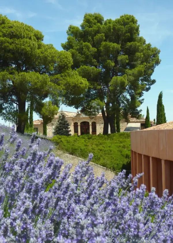Jardín con lavandas en primer plano, árboles y casa de piedra al fondo bajo un cielo azul despejado.
