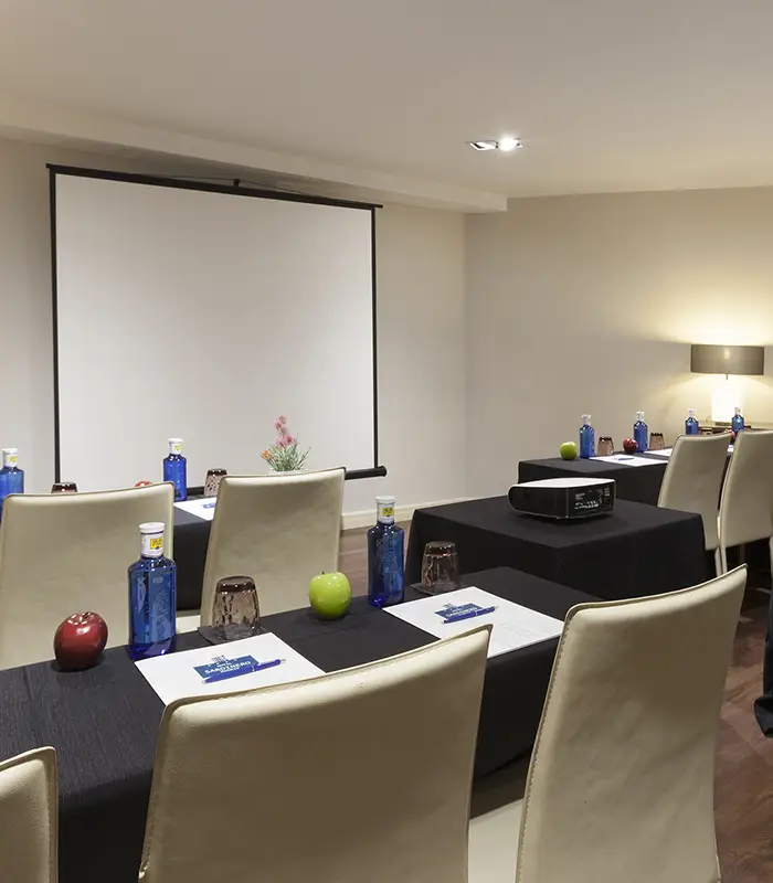 Hotel Sardinero Madrid