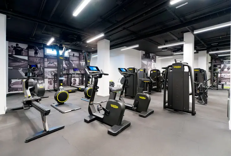 Gimnasio moderno con bicicletas estáticas, máquinas de remo y equipo para ejercicios en un espacio bien iluminado.