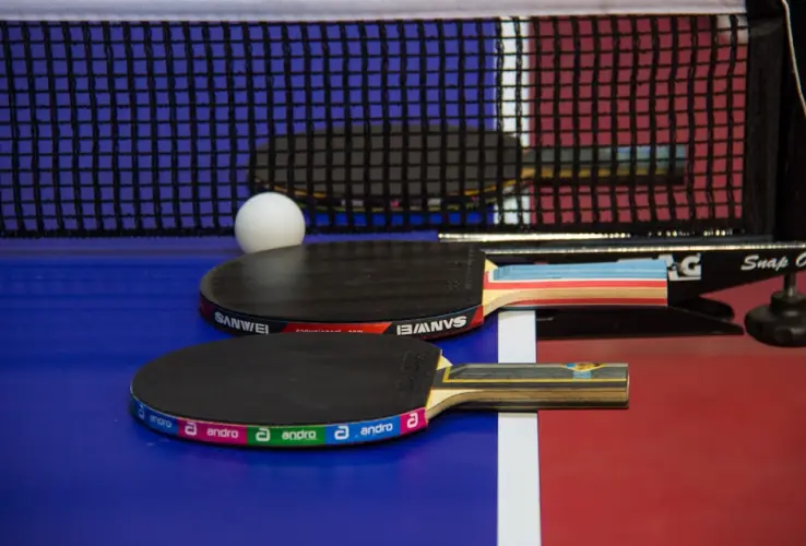 Palas de ping-pong y una pelota en una mesa con red.