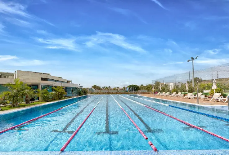 Piscina olímpica al aire libre con carriles, rodeada de sillas y palmeras bajo un cielo despejado.