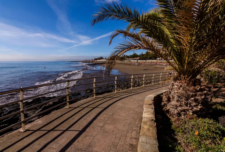 Paseo costero con palmera, barandilla y playa al fondo bajo un cielo azul.