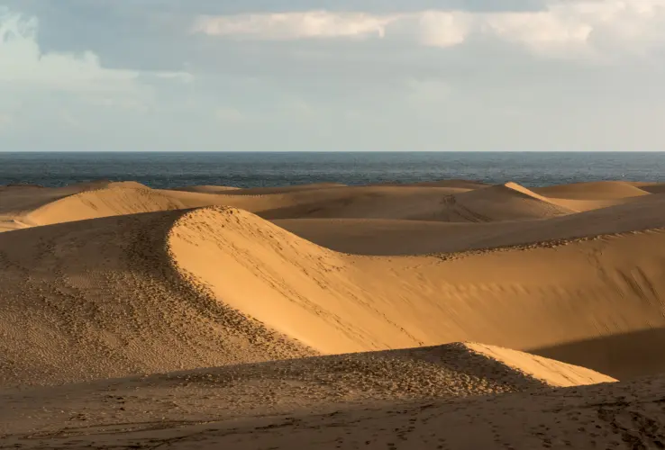 Dunas doradas bajo un cielo nublado, con el mar visible en el horizonte.