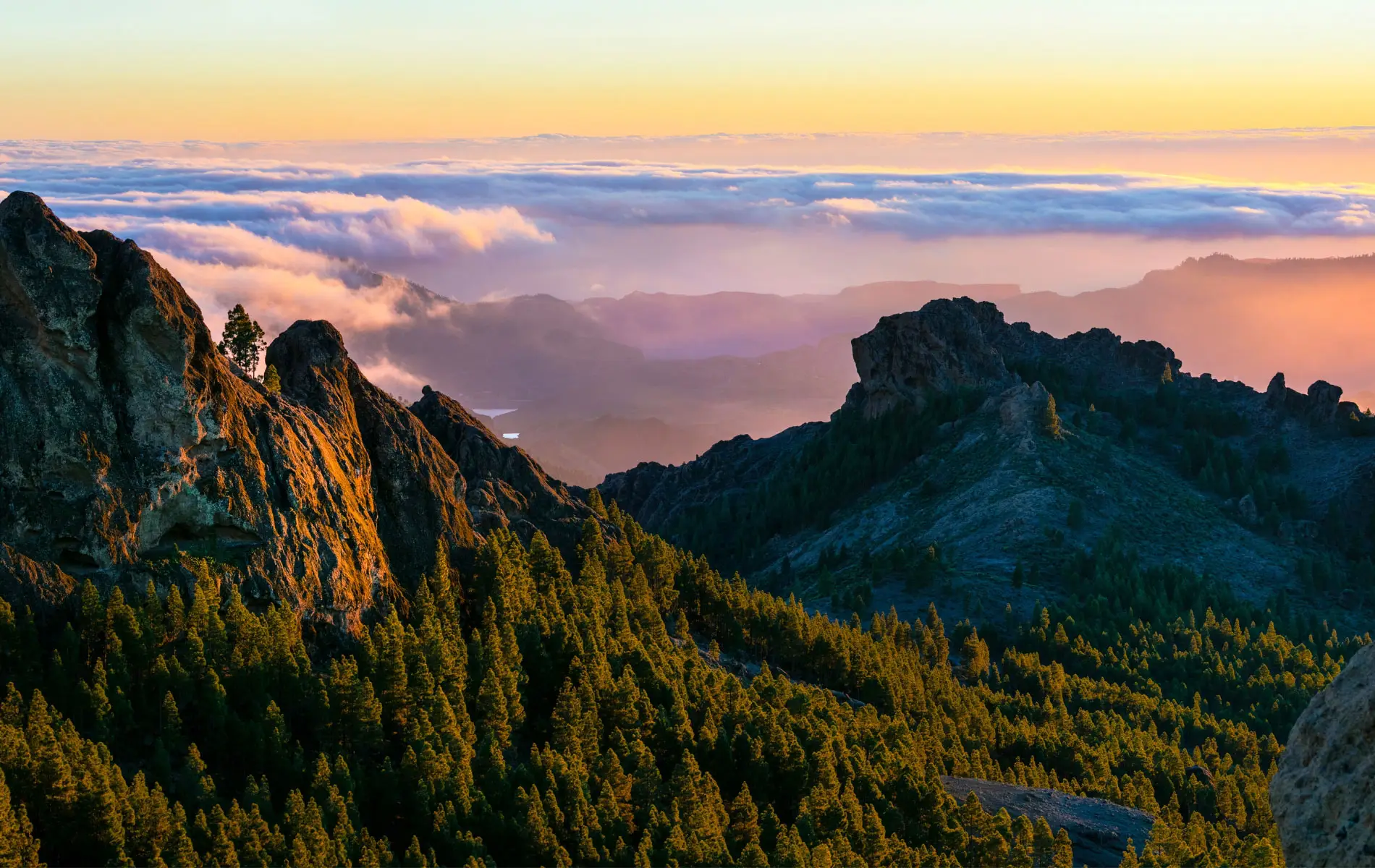 Gran Canaria Walking Festival - Servatur Monte Feliz