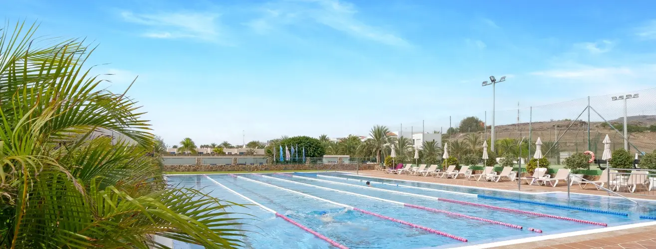 Piscina al aire libre con carriles y sillas, rodeada de palmeras bajo un cielo azul.