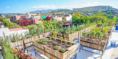 Huerto urbano con grandes jardineras en una azotea, rodeado de vegetación y casas a lo lejos.