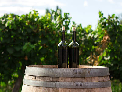 Dos botellas de vino tinto sobre un barril de madera en un viñedo, con plantas verdes al fondo y cielo azul.