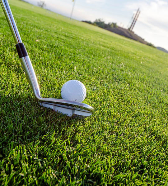 Un palo de golf junto a una pelota sobre el césped en un campo de golf, al fondo paisaje despejado.